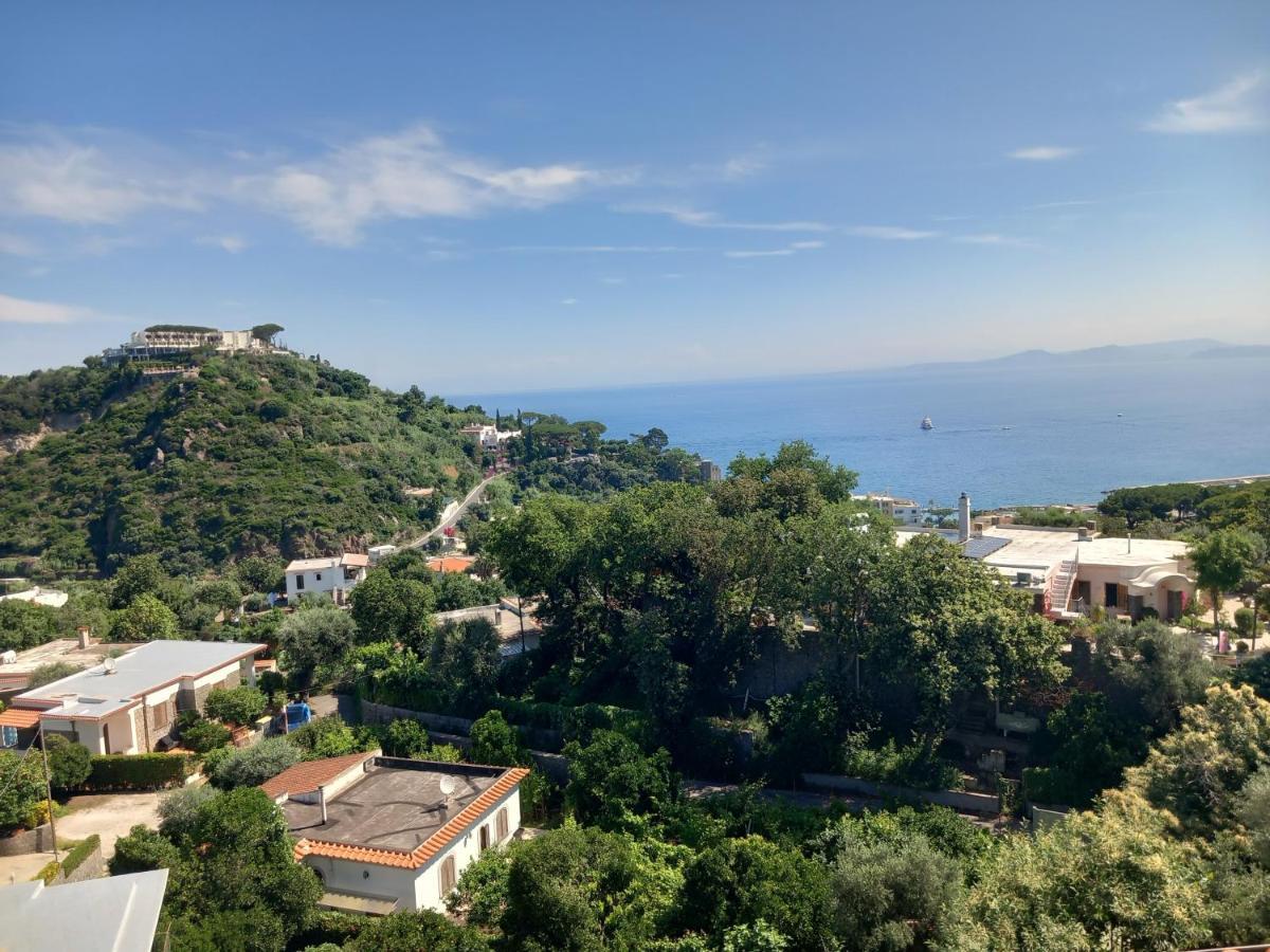 Villetta Panoramica Forio di Ischia Exterior foto